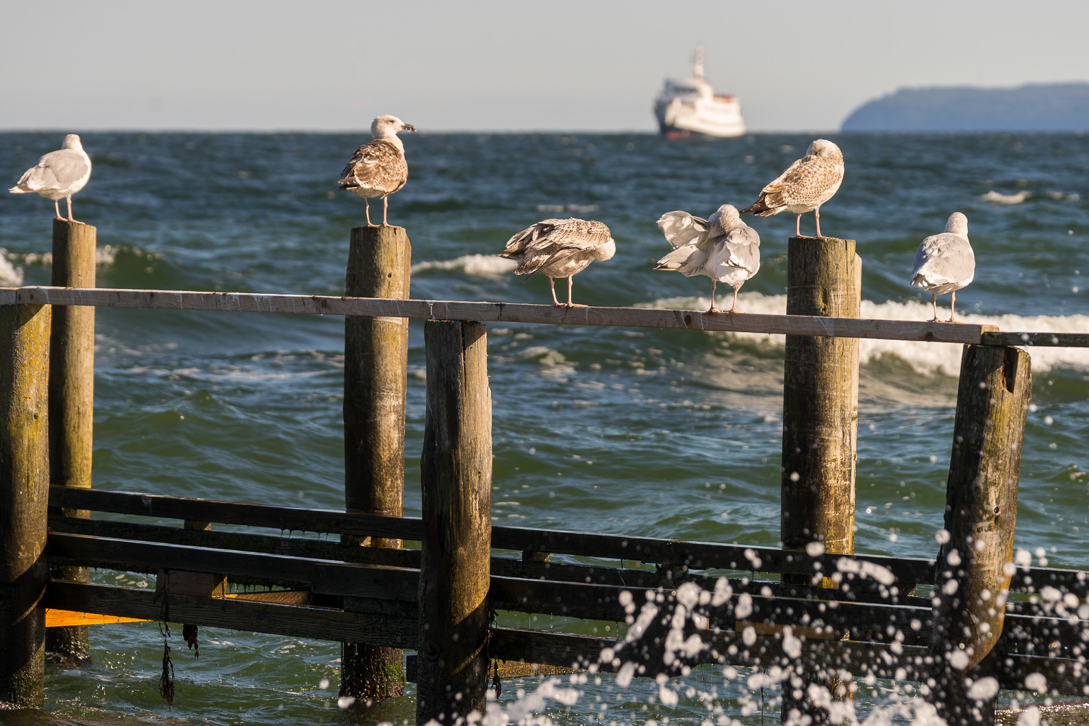 20160921 152139 Kap Arkona   Vitt